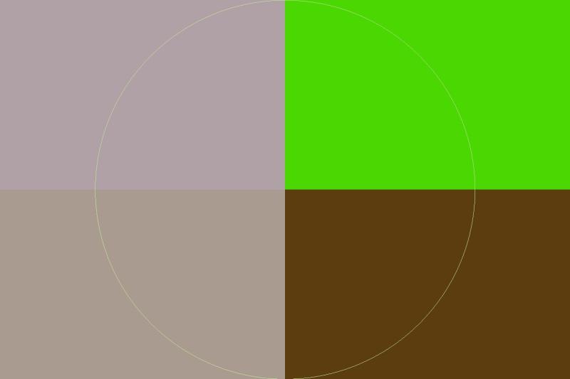 Alt for Demo Image media 12 fcMX5PJy3sG5CCZg