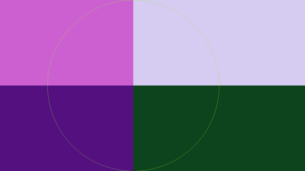 Alt for Demo Image media 8 cg9wWOI4FYaTxg7H